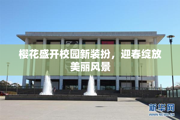 樱花盛开校园新装扮，迎春绽放美丽风景
