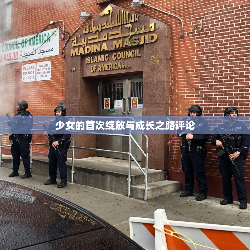 少女的首次绽放与成长之路评论
