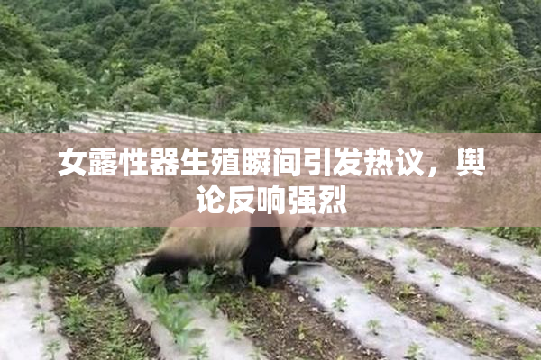 女露性器生殖瞬间引发热议，舆论反响强烈