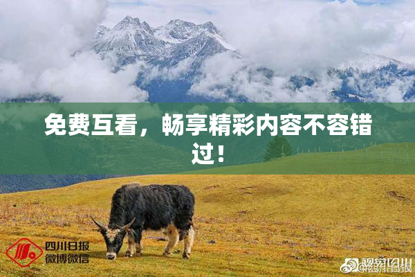 免费互看，畅享精彩内容不容错过！
