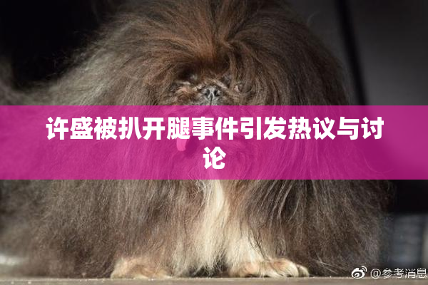 许盛被扒开腿事件引发热议与讨论