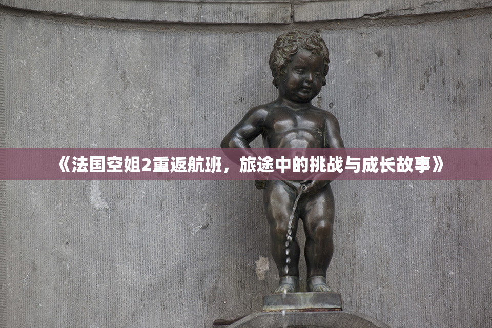 《法国空姐2重返航班，旅途中的挑战与成长故事》