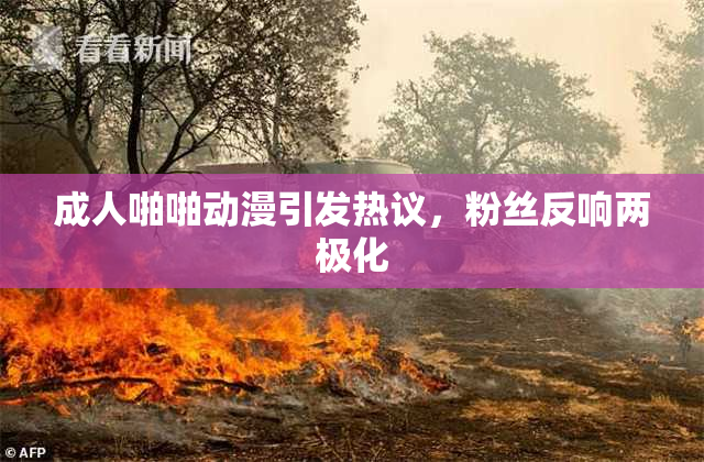 成人啪啪动漫引发热议，粉丝反响两极化