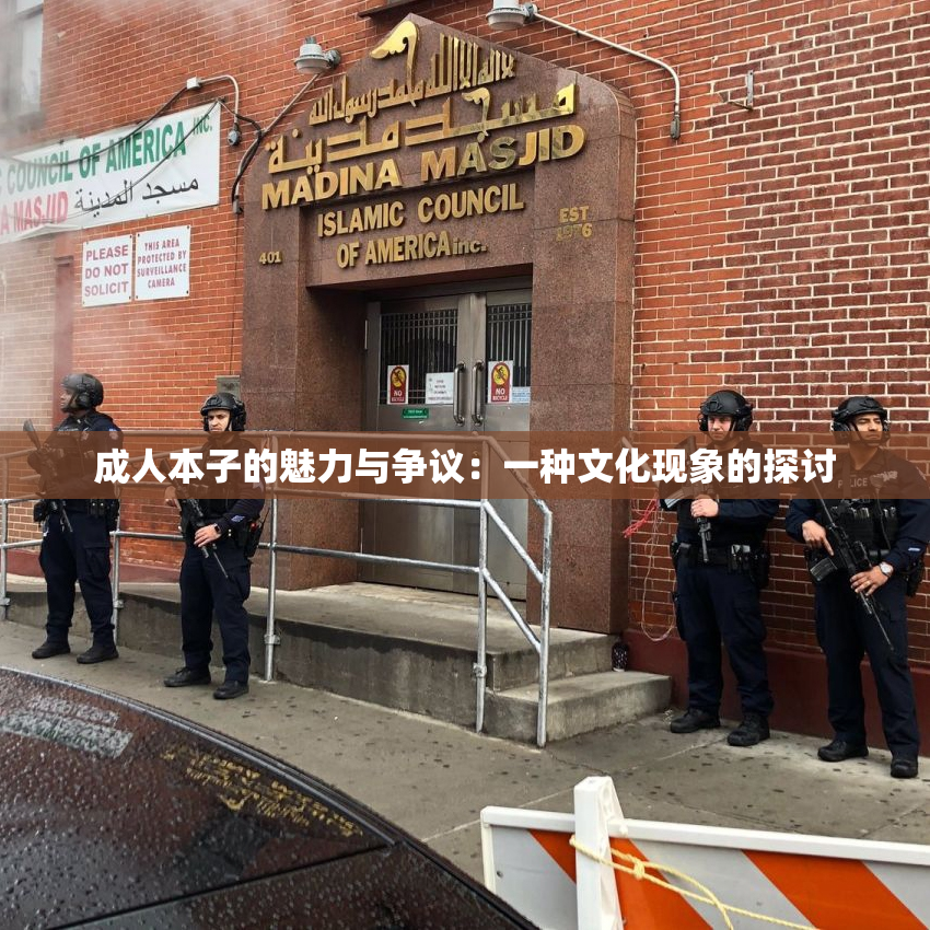 成人本子的魅力与争议：一种文化现象的探讨