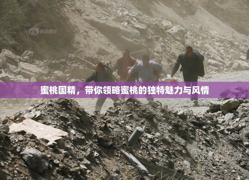 蜜桃国精，带你领略蜜桃的独特魅力与风情