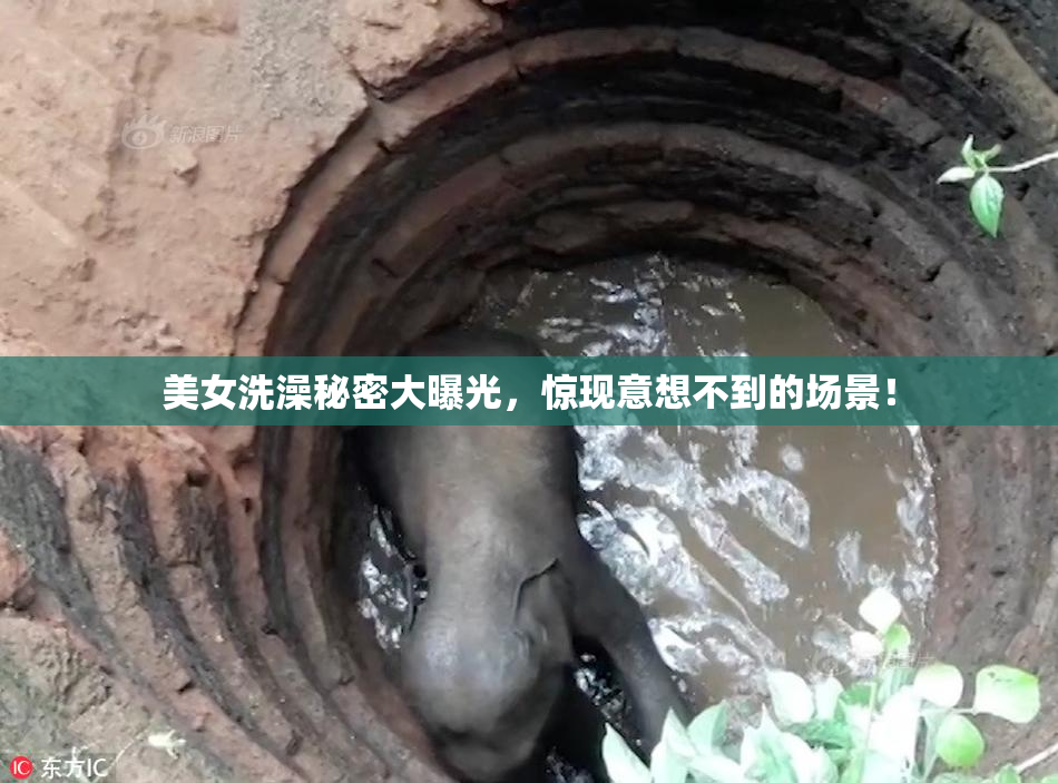 美女洗澡秘密大曝光，惊现意想不到的场景！