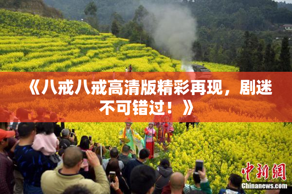 《八戒八戒高清版精彩再现，剧迷不可错过！》