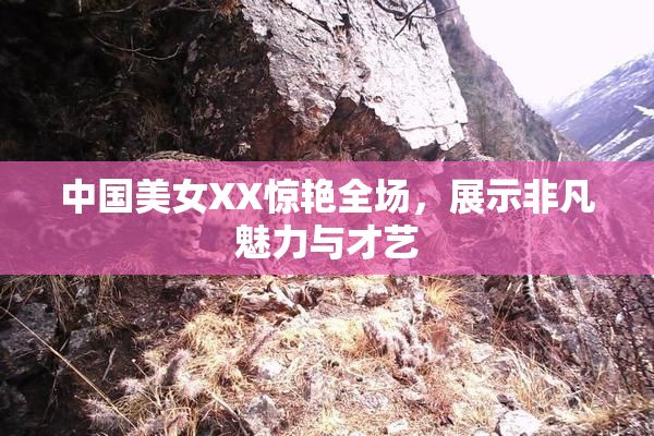中国美女XX惊艳全场，展示非凡魅力与才艺