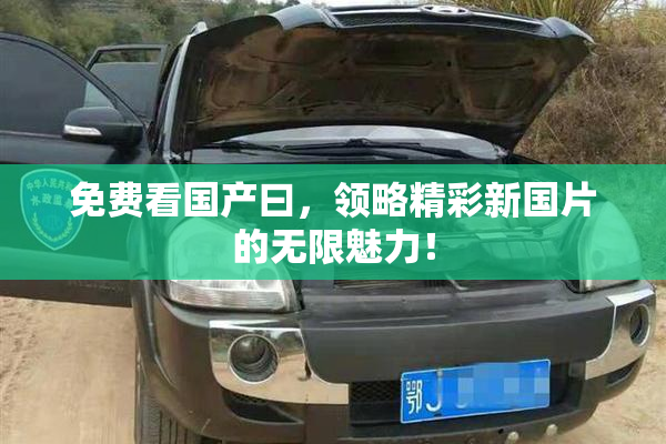 免费看国产曰，领略精彩新国片的无限魅力！