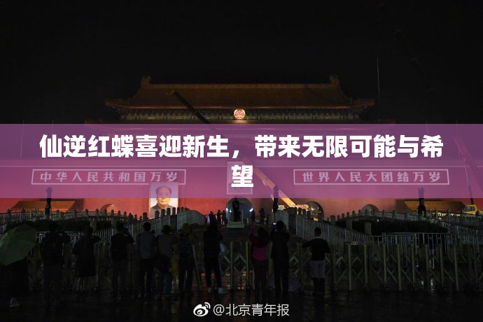 仙逆红蝶喜迎新生，带来无限可能与希望