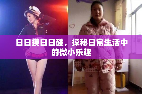 日日摸日日碰，探秘日常生活中的微小乐趣