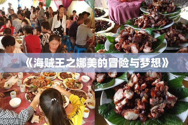 《海贼王之娜美的冒险与梦想》