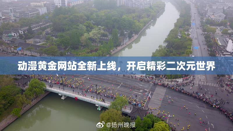动漫黄金网站全新上线，开启精彩二次元世界