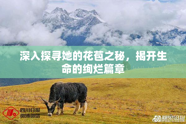 深入探寻她的花苞之秘，揭开生命的绚烂篇章