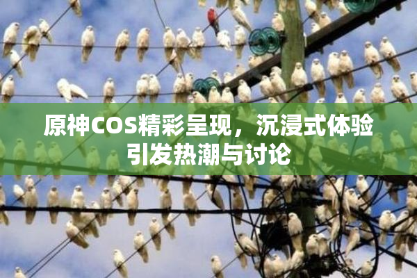 原神COS精彩呈现，沉浸式体验引发热潮与讨论