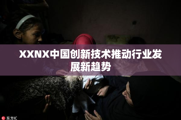 XXNX中国创新技术推动行业发展新趋势