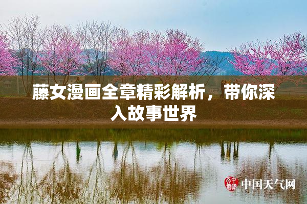 藤女漫画全章精彩解析，带你深入故事世界
