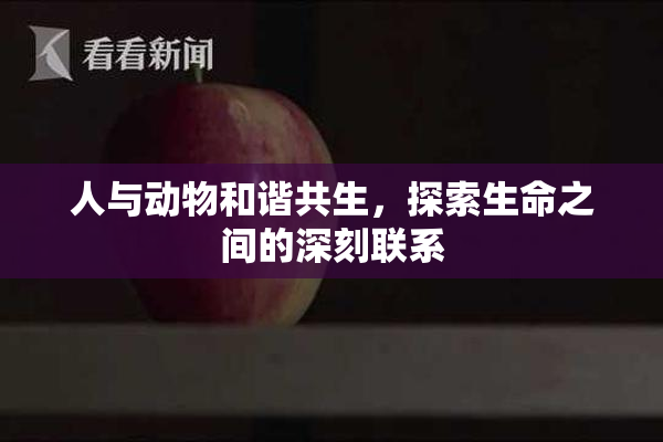 人与动物和谐共生，探索生命之间的深刻联系