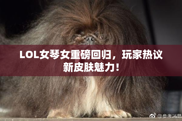 LOL女琴女重磅回归，玩家热议新皮肤魅力！