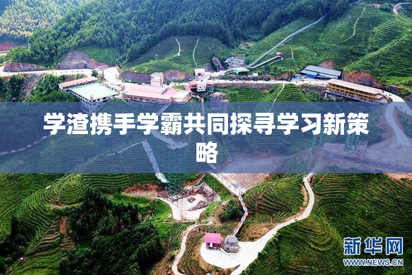 学渣携手学霸共同探寻学习新策略