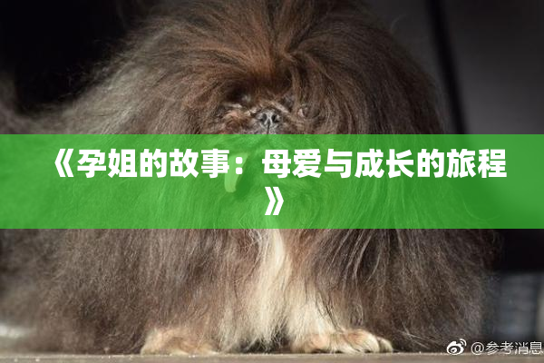 《孕姐的故事：母爱与成长的旅程》