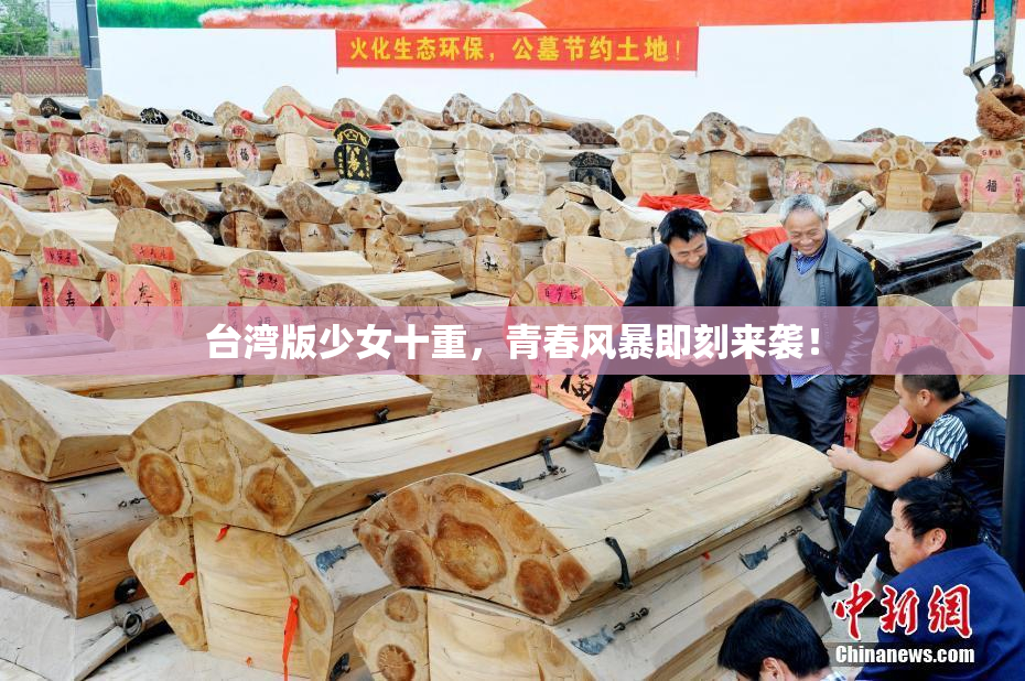 台湾版少女十重，青春风暴即刻来袭！