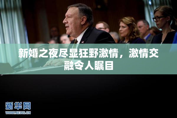 新婚之夜尽显狂野激情，激情交融令人瞩目
