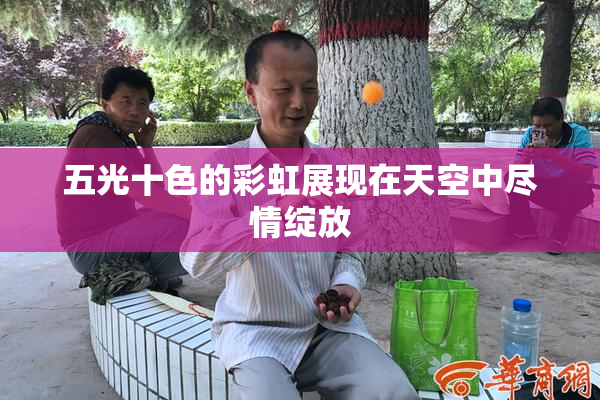 五光十色的彩虹展现在天空中尽情绽放
