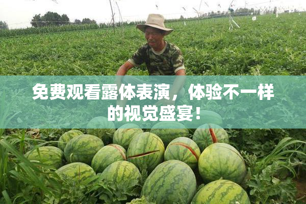 免费观看露体表演，体验不一样的视觉盛宴！