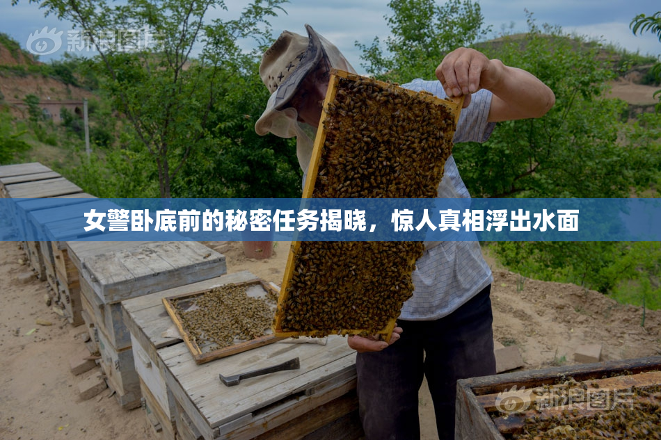 女警卧底前的秘密任务揭晓，惊人真相浮出水面