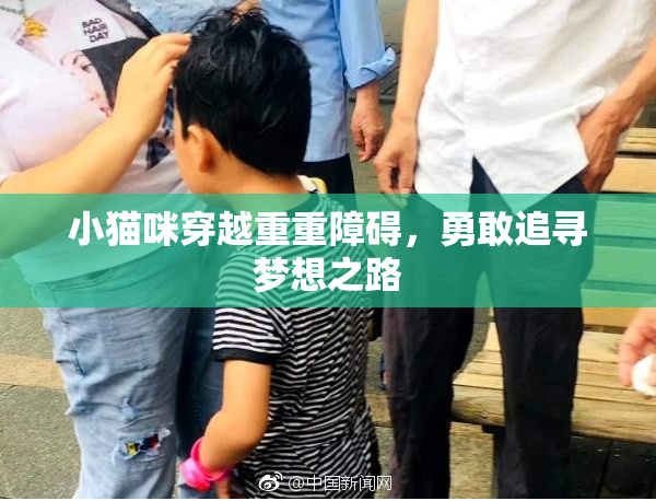 小猫咪穿越重重障碍，勇敢追寻梦想之路