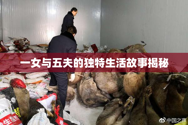 一女与五夫的独特生活故事揭秘