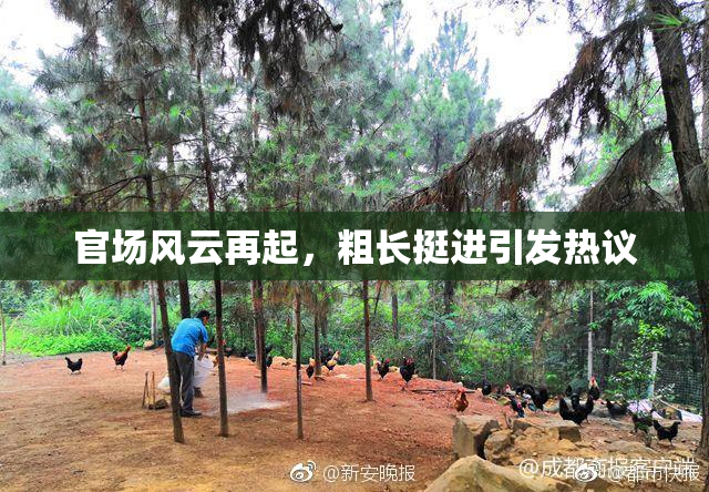 官场风云再起，粗长挺进引发热议