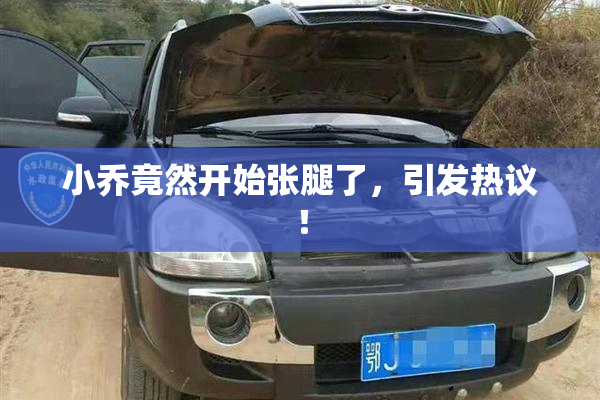 小乔竟然开始张腿了，引发热议！