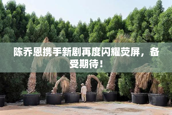 陈乔恩携手新剧再度闪耀荧屏，备受期待！