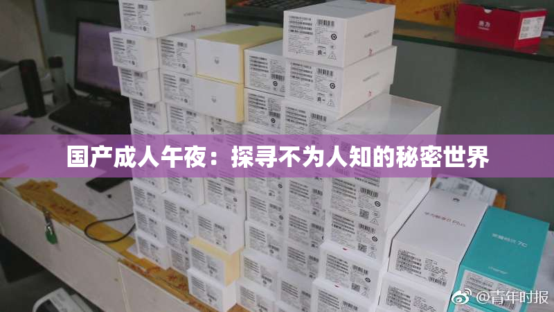 国产成人午夜：探寻不为人知的秘密世界