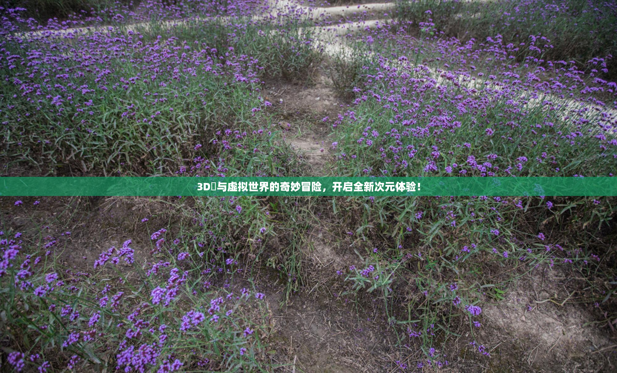 3D姉与虚拟世界的奇妙冒险，开启全新次元体验！