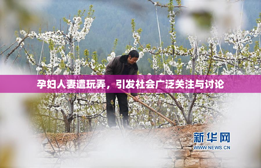孕妇人妻遭玩弄，引发社会广泛关注与讨论