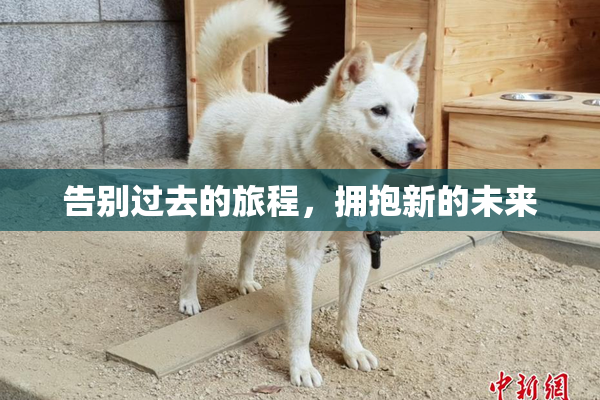告别过去的旅程，拥抱新的未来