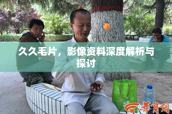久久毛片，影像资料深度解析与探讨