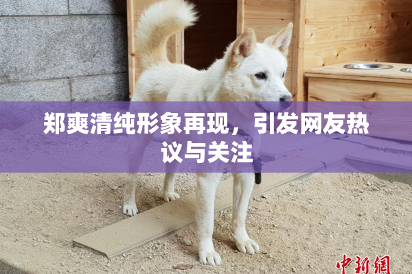 郑爽清纯形象再现，引发网友热议与关注