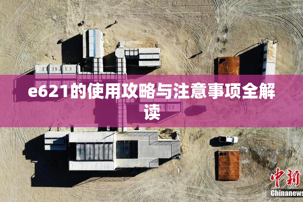 e621的使用攻略与注意事项全解读