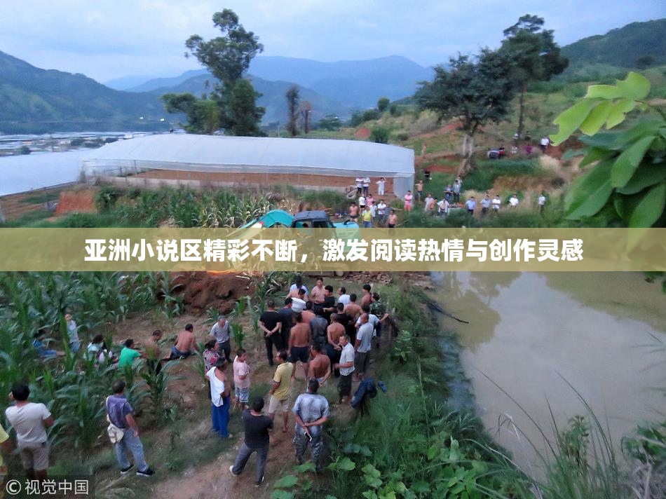 亚洲小说区精彩不断，激发阅读热情与创作灵感