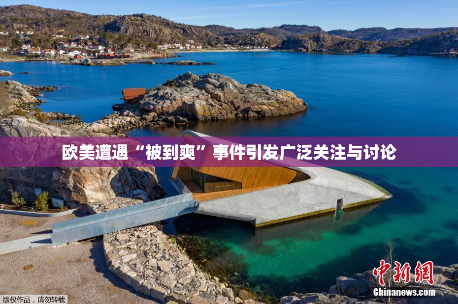 欧美遭遇“被到爽”事件引发广泛关注与讨论