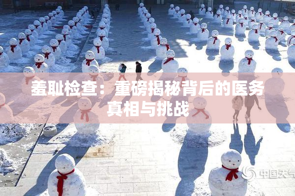 羞耻检查：重磅揭秘背后的医务真相与挑战
