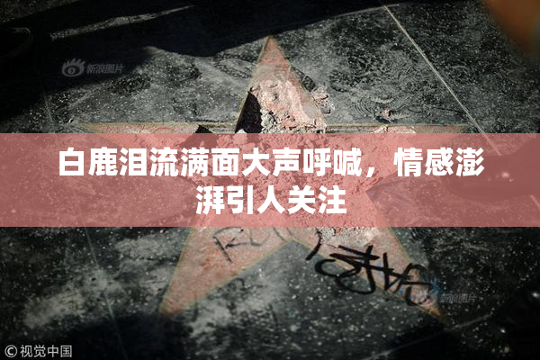 白鹿泪流满面大声呼喊，情感澎湃引人关注