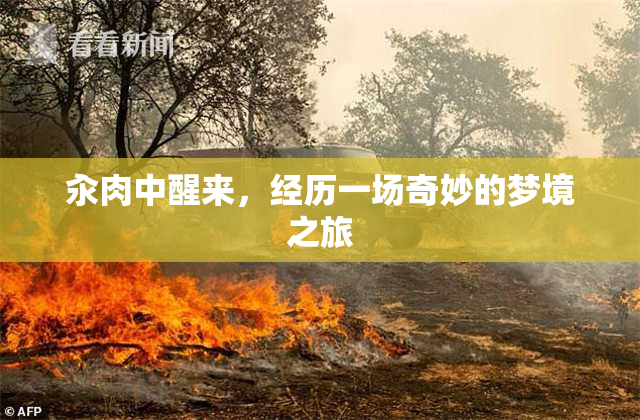 汆肉中醒来，经历一场奇妙的梦境之旅