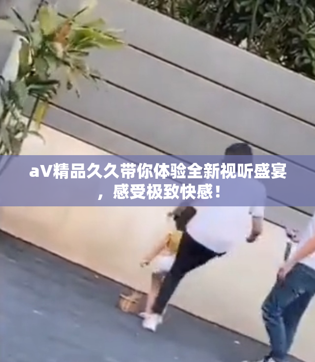 aV精品久久带你体验全新视听盛宴，感受极致快感！