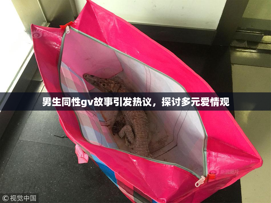 男生同性gv故事引发热议，探讨多元爱情观