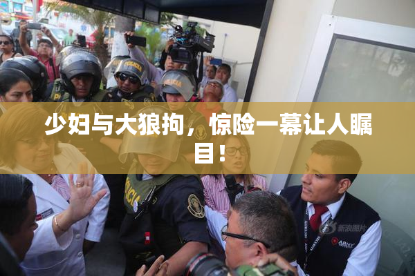 少妇与大狼拘，惊险一幕让人瞩目！
